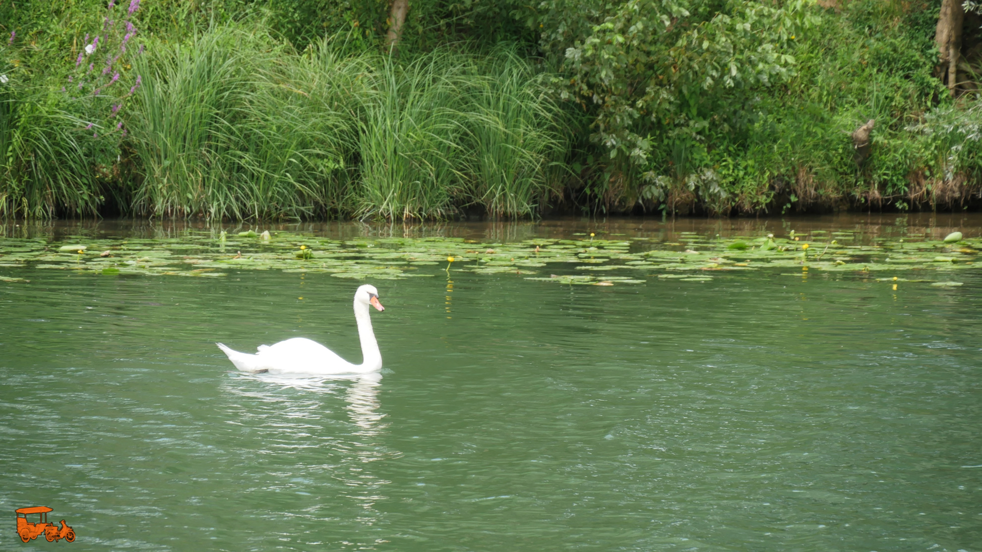 saone-delta-1980-34 DxO